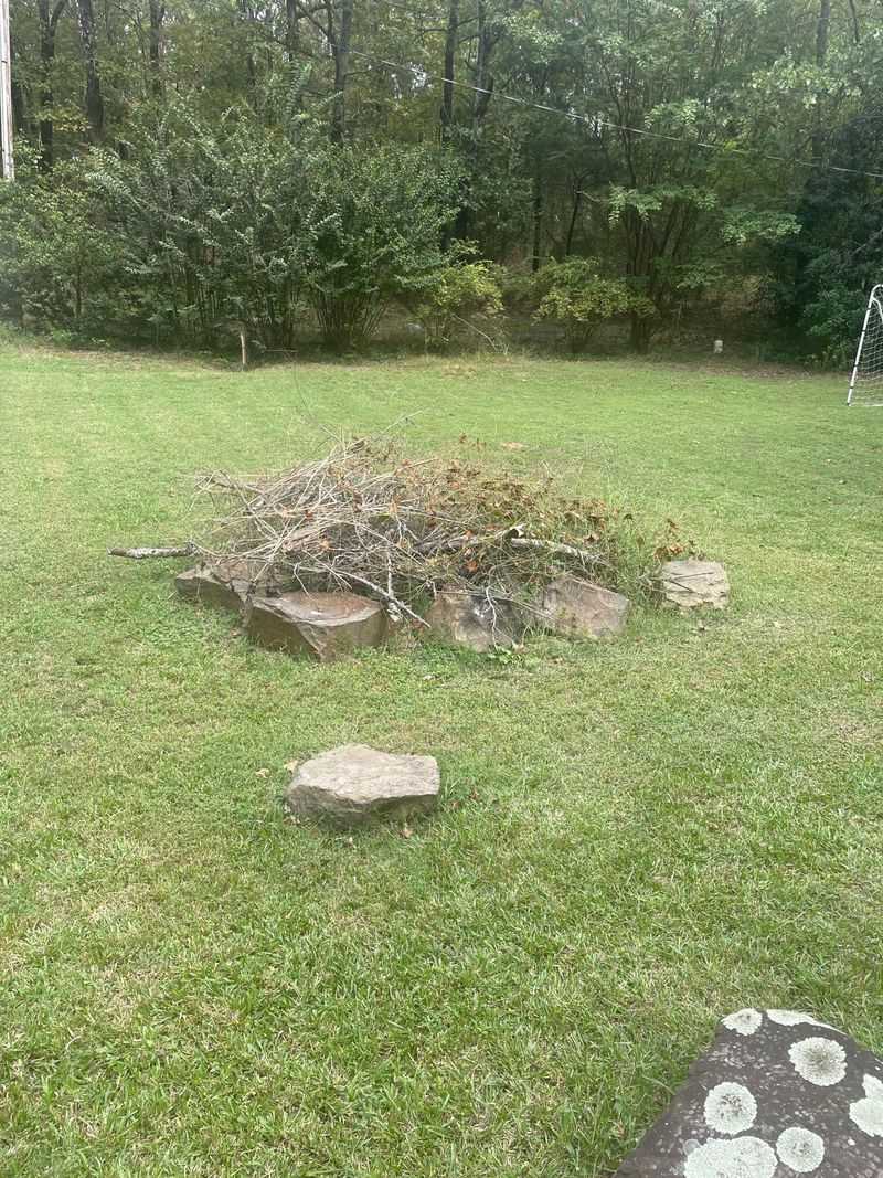 Brush Piles Bring Small Mammal Traffic Brush Piles Bring Small Mammal Traffic