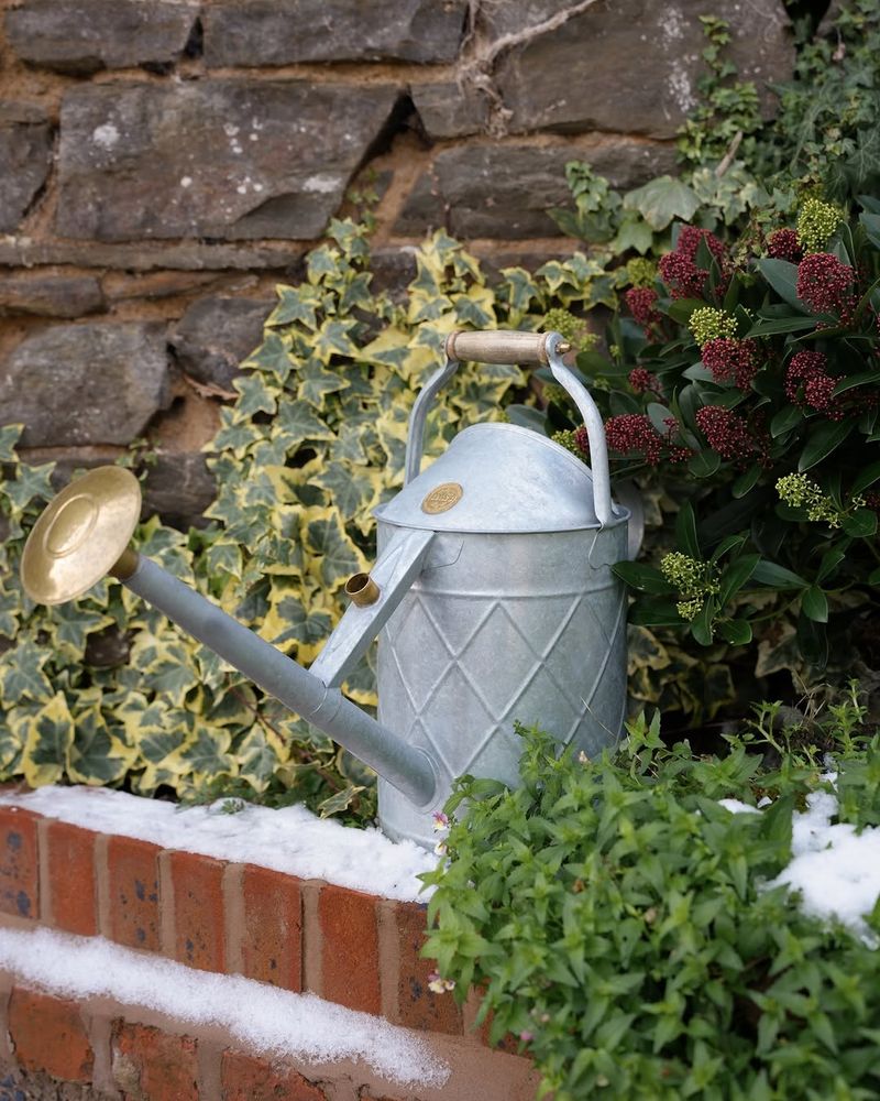 Buckets And Watering Cans