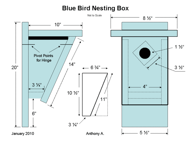 Build A Box Bluebirds Can Use Build A Box Bluebirds Can Use