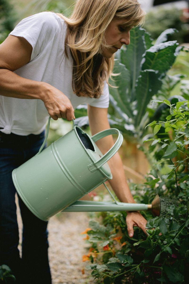 Build A Morning Routine That Saves Your Garden Build A Morning Routine That Saves Your Garden
