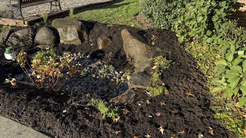 Build A Rain Garden First