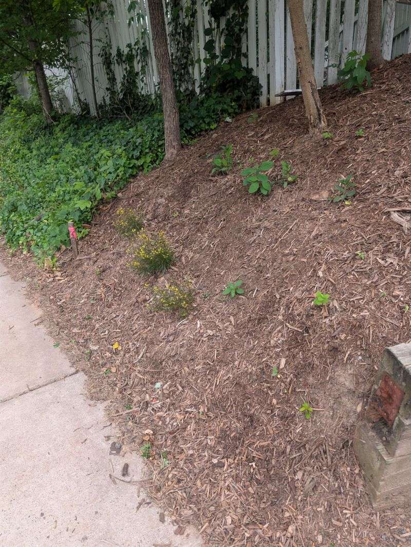 Build Low Berms Around Beds Build Low Berms Around Beds