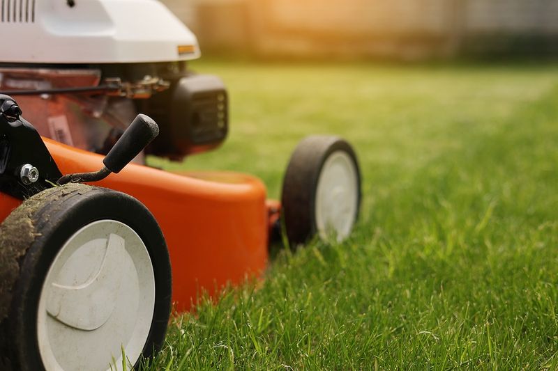 Build Turf That Can Tolerate Damage