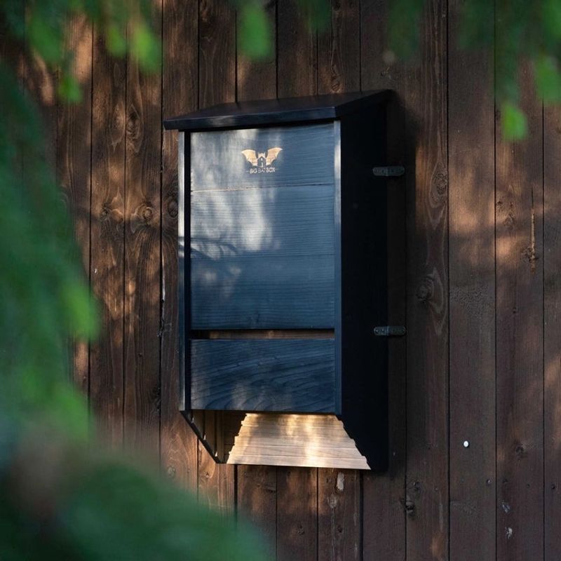 Build a House That Handles North Carolina Heat