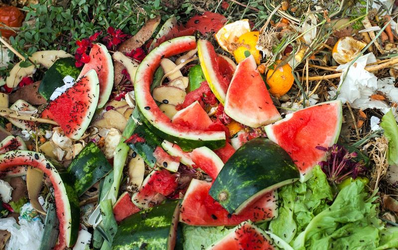 Bury Food Scraps Deeper In The Pile Bury Food Scraps Deeper In The Pile