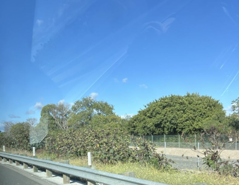 California Roadsides Give It Room To Spread California Roadsides Give It Room To Spread