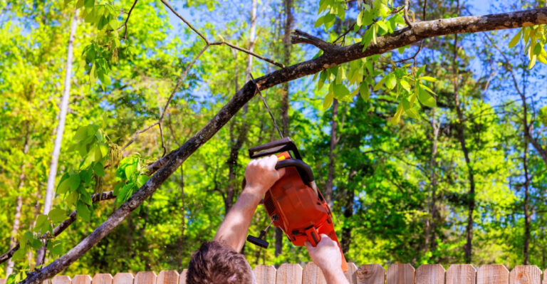 Can Oregon Homeowners Legally Trim Neighbors Overhanging Branches If They Drop Debris?