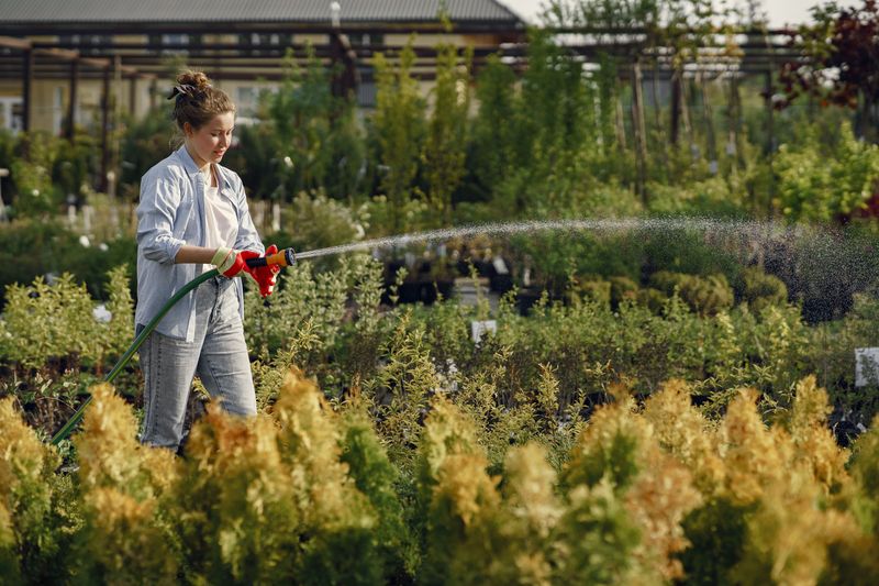 Can You Stop Watering Now That Fall Has Arrived