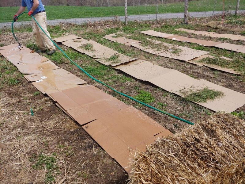Cardboard Breaks Down Over Time