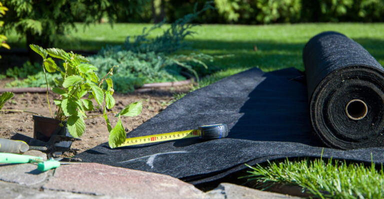 Cardboard Or Landscape Fabric? What Works Better For Weeds In North Carolina