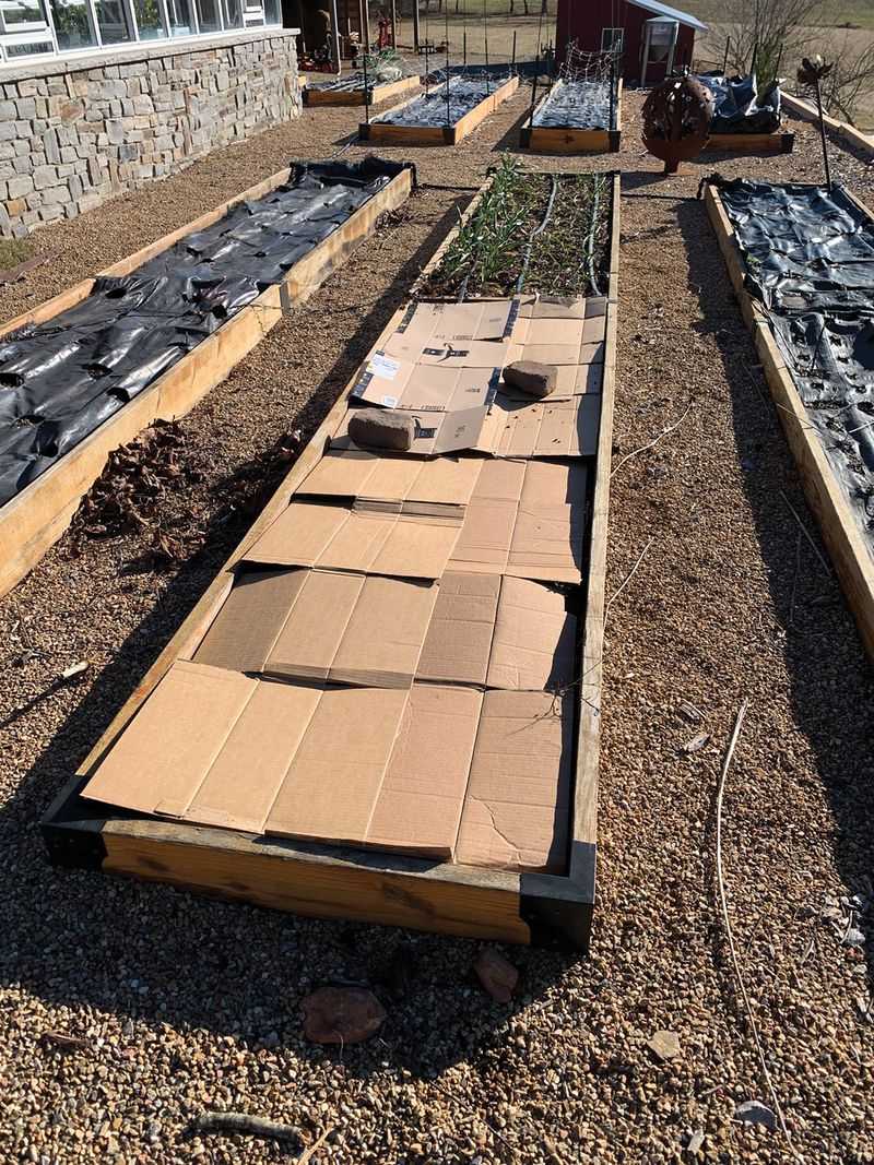 Cardboard Works Best For Sheet Mulching