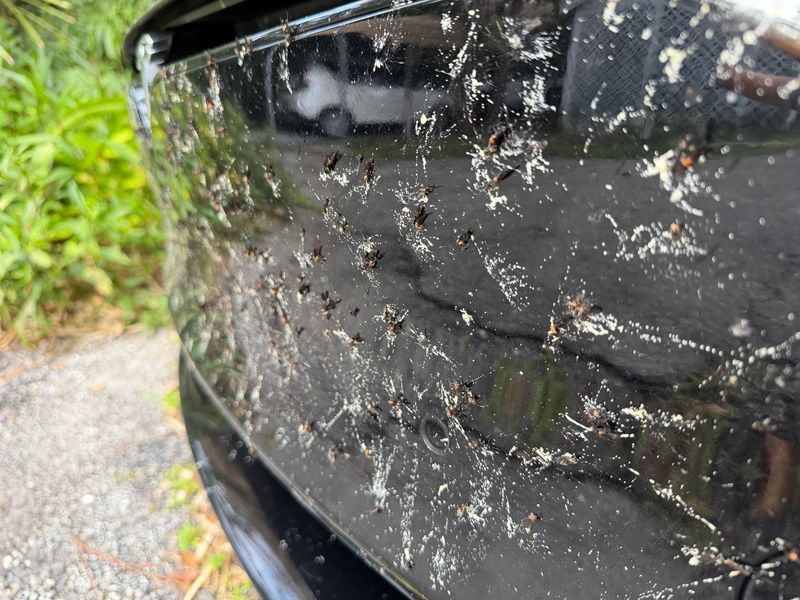 Cars And Patios Take The Biggest Mess