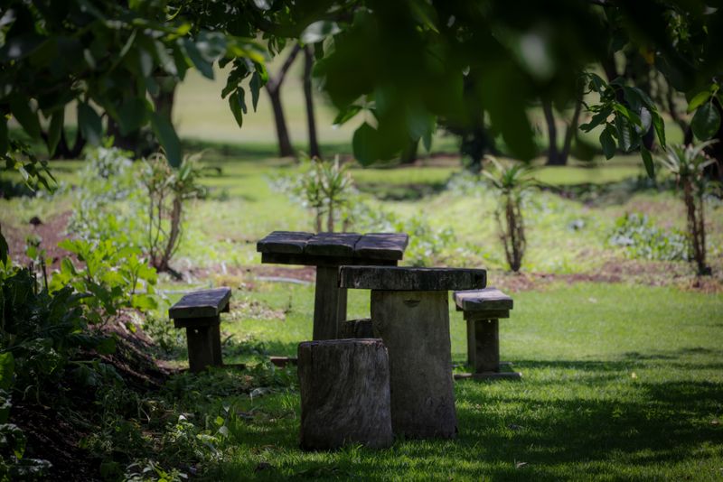 Carve It Into A Rustic Seat Or Table