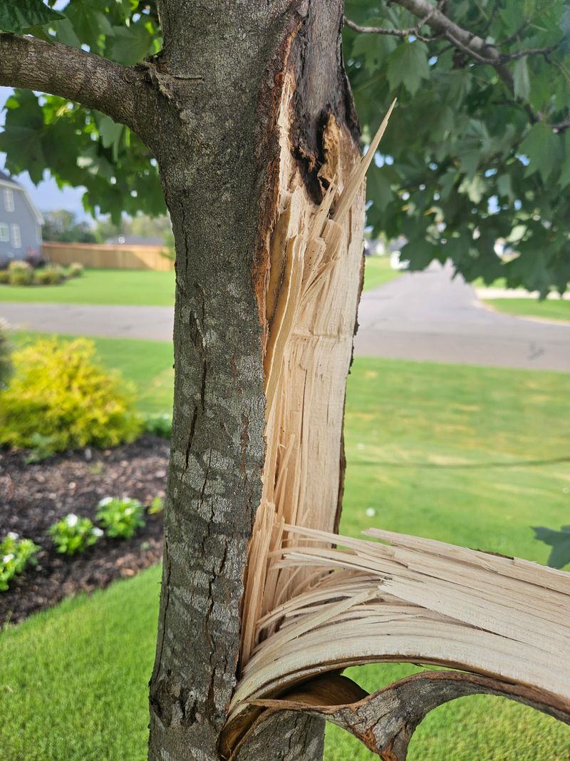 Chainsaws And Ladders Make Storm Cleanup More Complicated Chainsaws And Ladders Make Storm Cleanup More Complicated