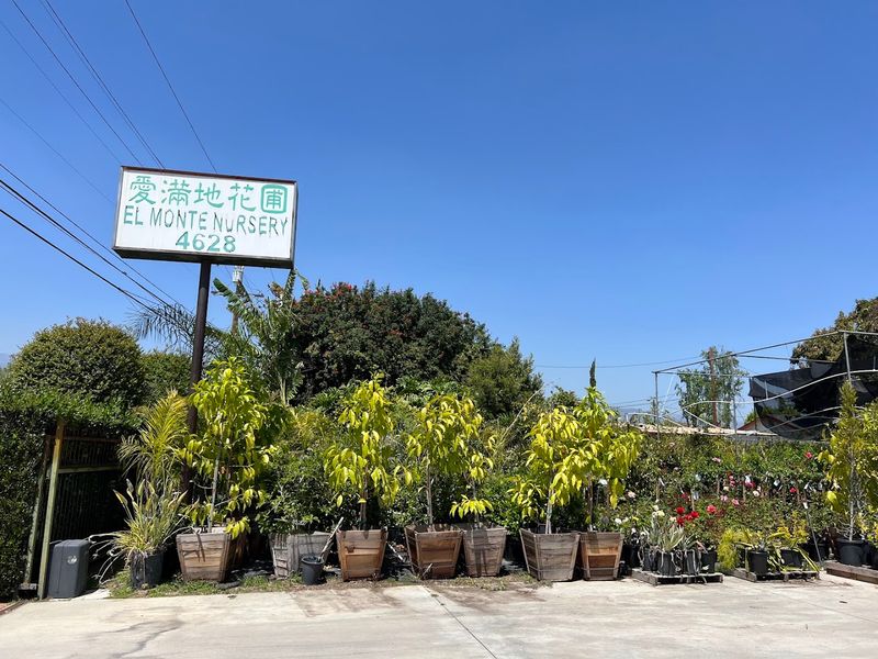 Champa Nursery — El Monte