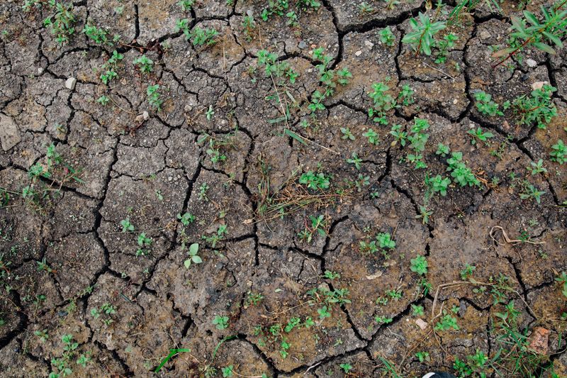 Changing Moisture And Weather Patterns Changing Moisture And Weather Patterns