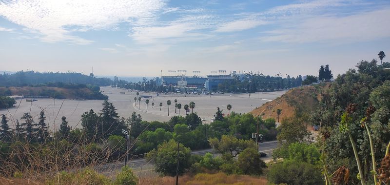 Chavez Ravine Arboretum Is L.A.’s Hidden Historic Tree Collection