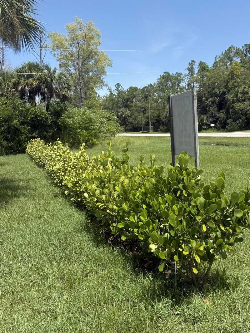 Check Drainage Before The Storms Stack Up