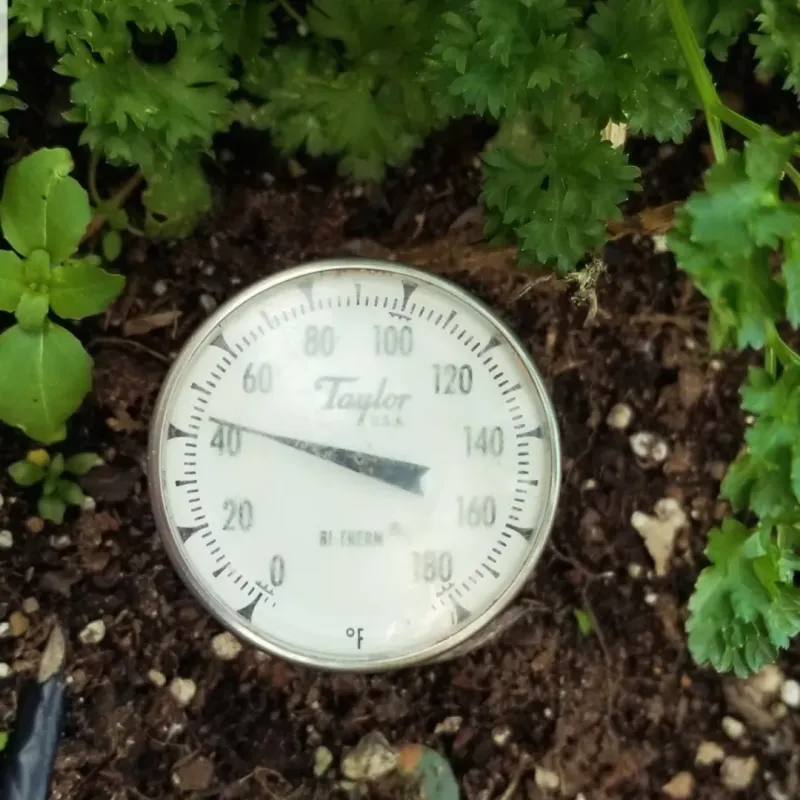 Check Garden Beds During Hot Weather