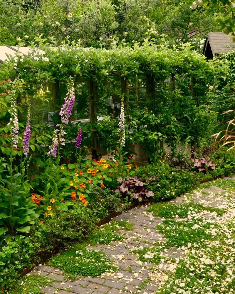 Check Lush Watered Plants During Dry Weather