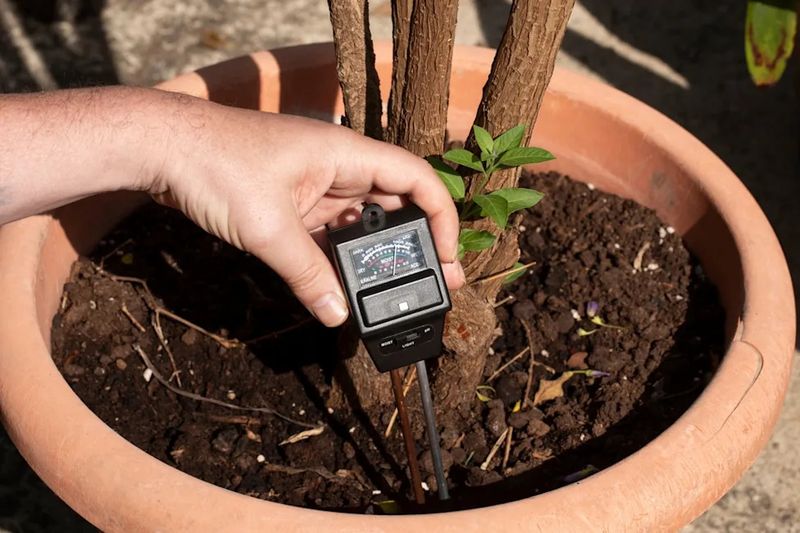 Check Moisture Before Heat Peaks Check Moisture Before Heat Peaks