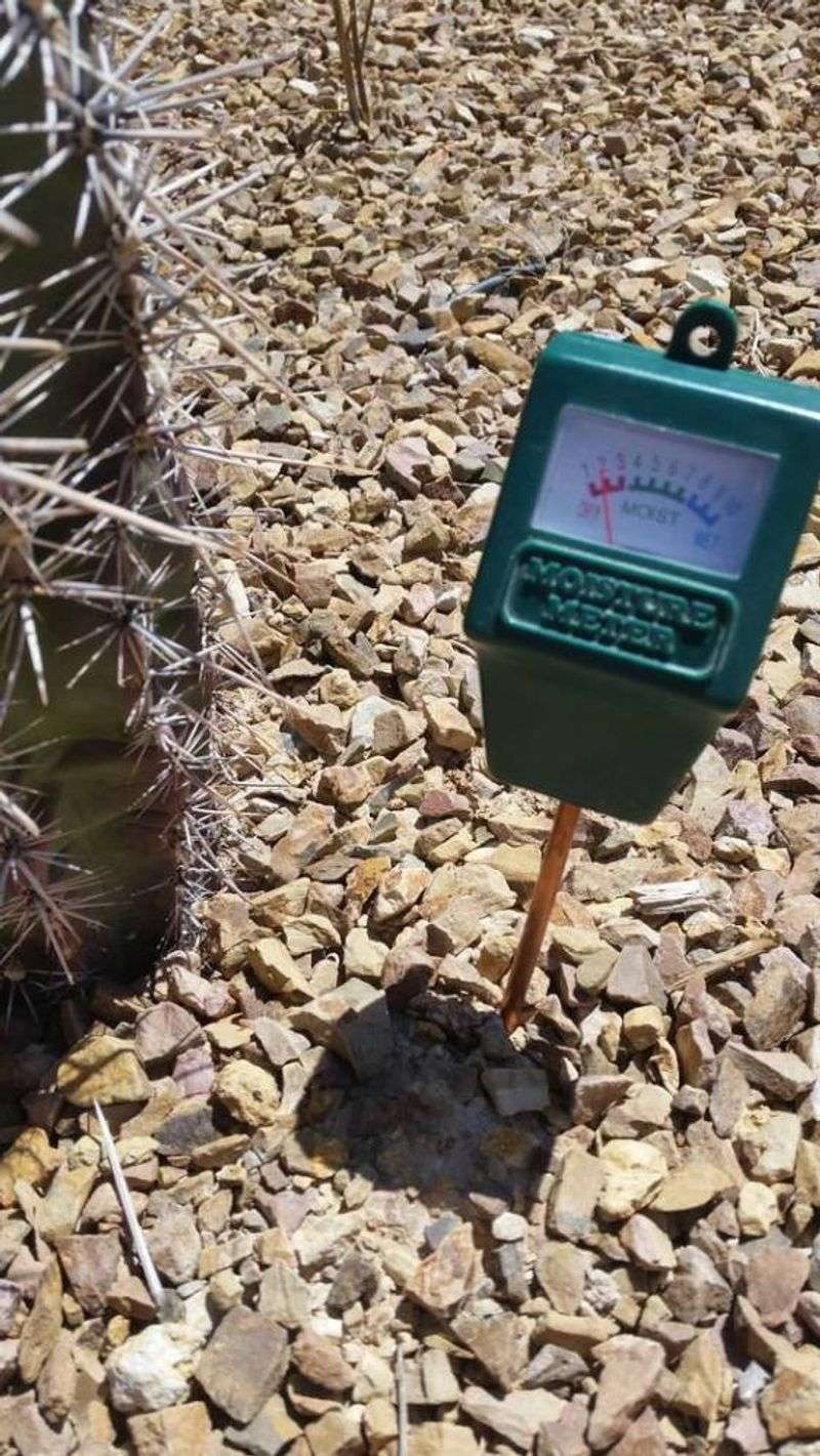 Check Moisture Below The Surface Before Irrigating Check Moisture Below The Surface Before Irrigating