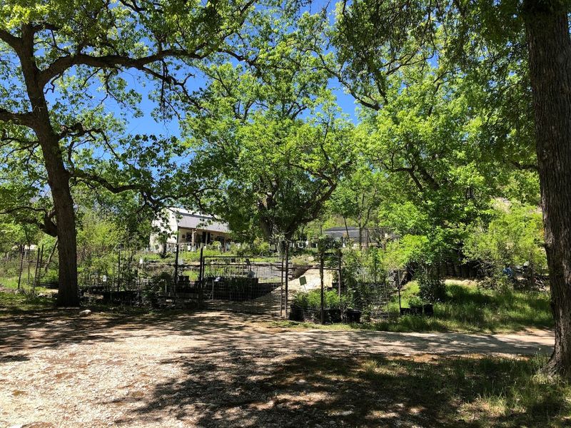 Check Natives Of Texas Near Kerrville Check Natives Of Texas Near Kerrville