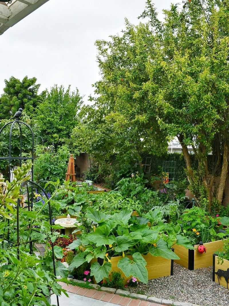 Check Nearby Plants Every Few Days Check Nearby Plants Every Few Days