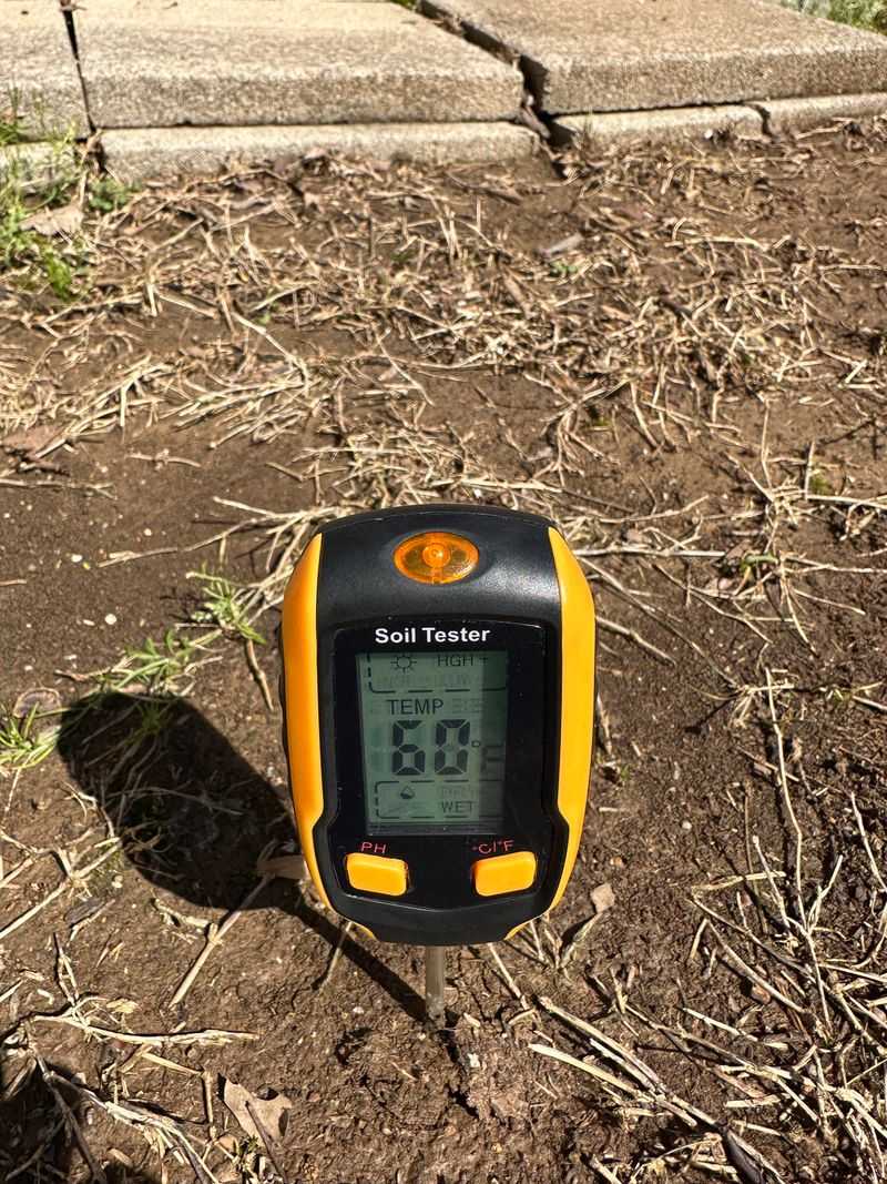 Check Root Moisture Every Day