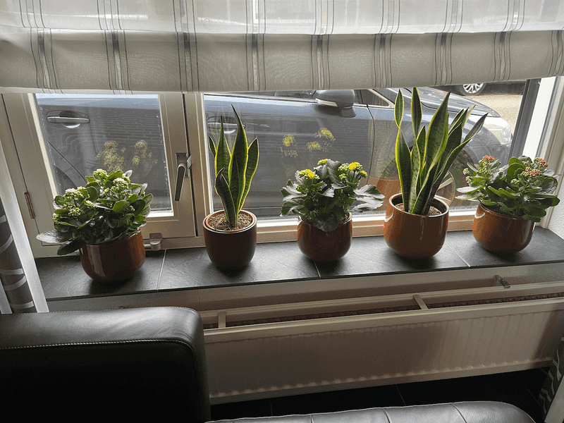 Check Small Pots First Check Small Pots First