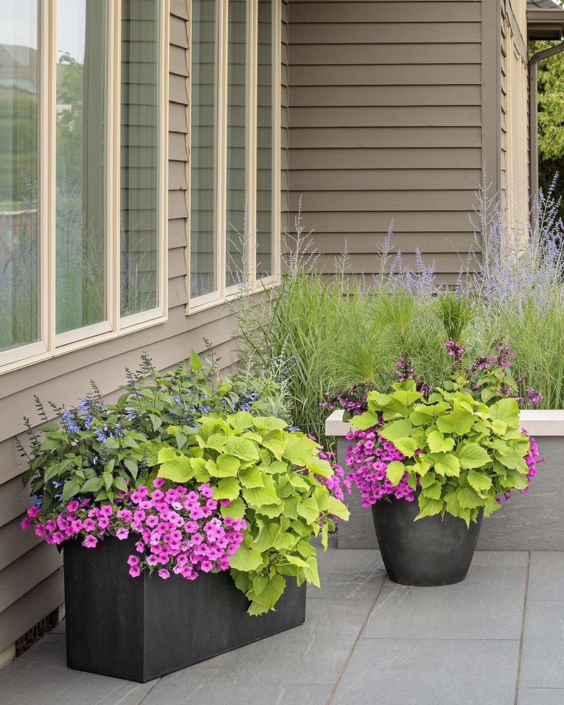 Check Small Pots Twice