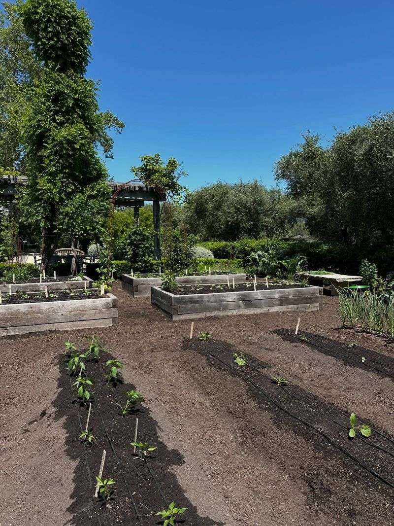 Check Soil Depth Before Adding More Water Check Soil Depth Before Adding More Water