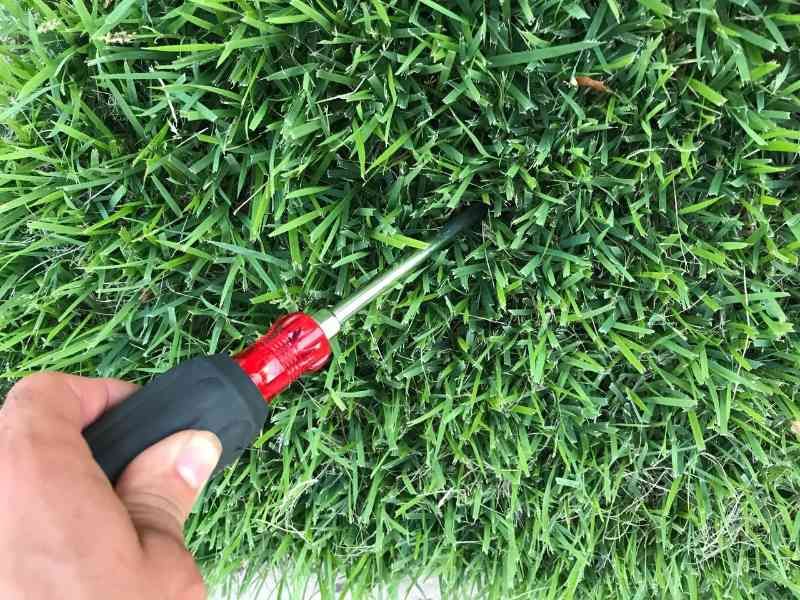 Check Soil Moisture Before Watering Again