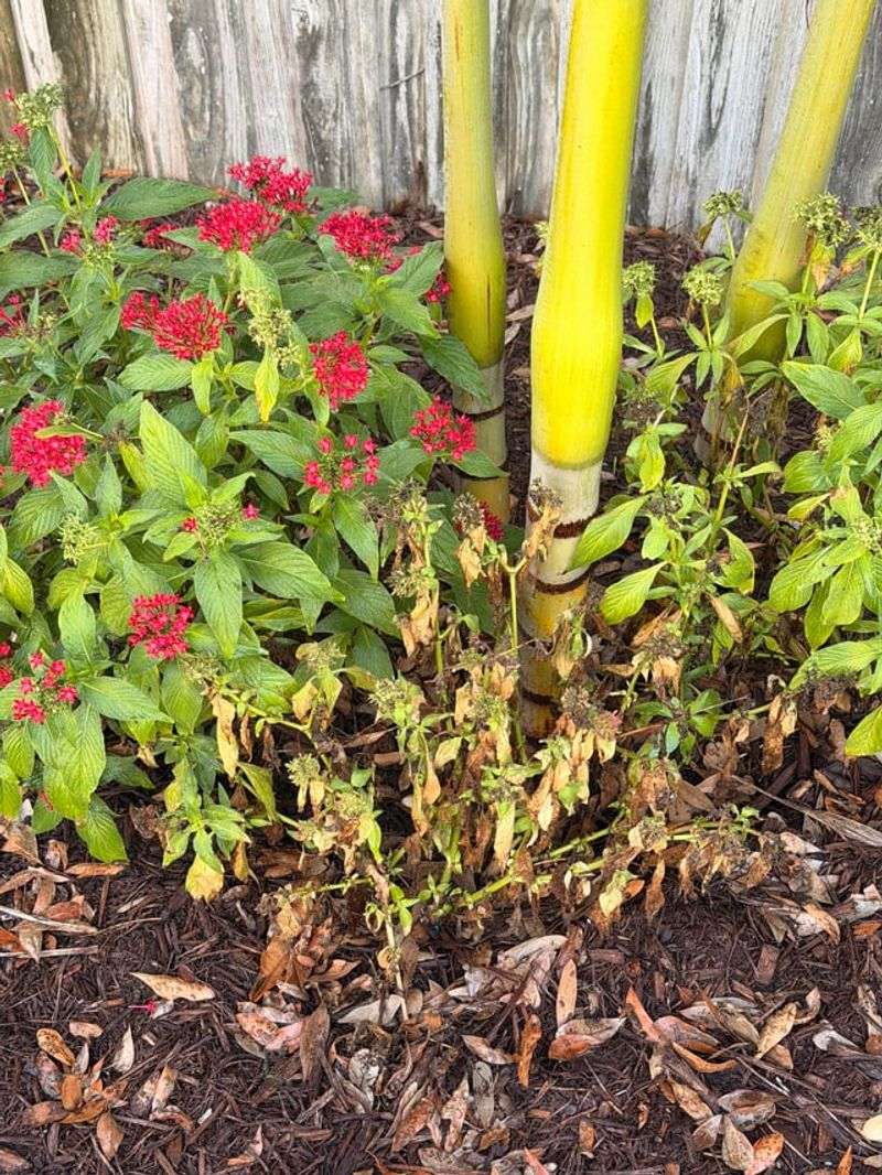 Check Soil Moisture Before Watering Again Check Soil Moisture Before Watering Again