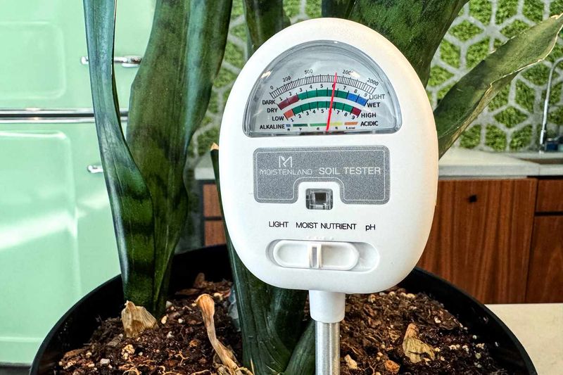 Check Soil Moisture More Often Than In-Ground Beds