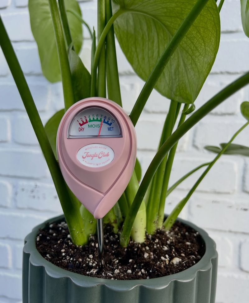 Check Soil Moisture More Often Check Soil Moisture More Often