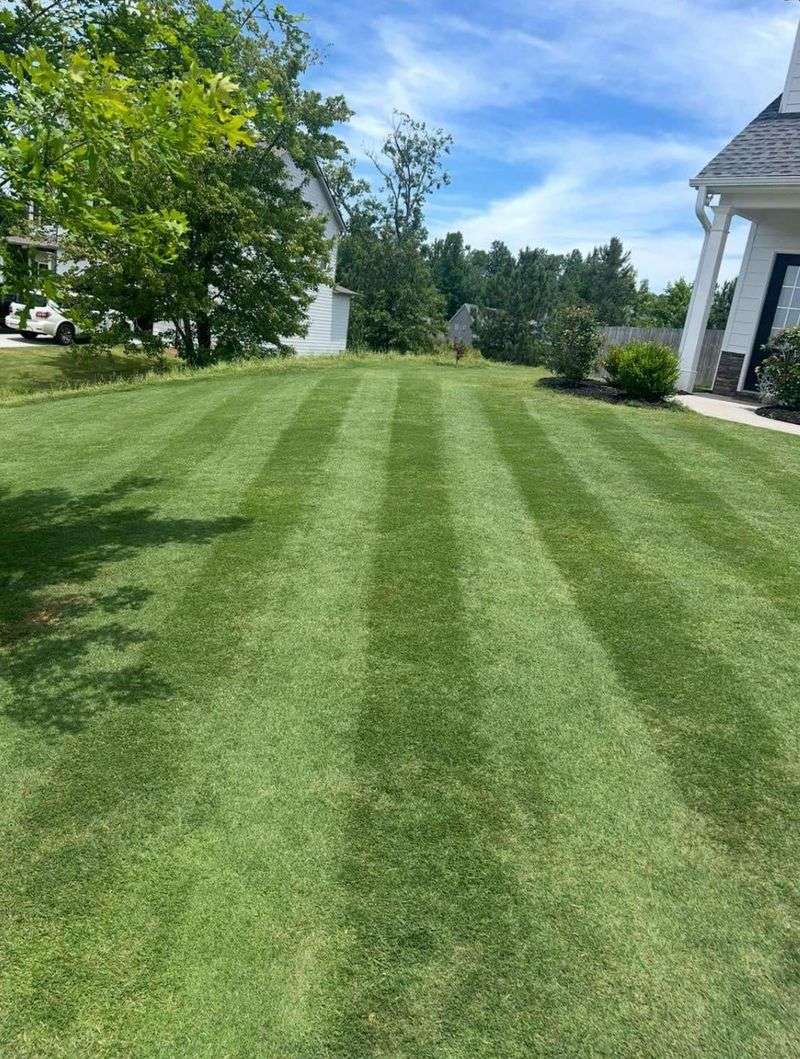 Check The Yard Every Week Check The Yard Every Week
