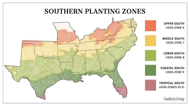 Check Your Region Before You Plant Permanently