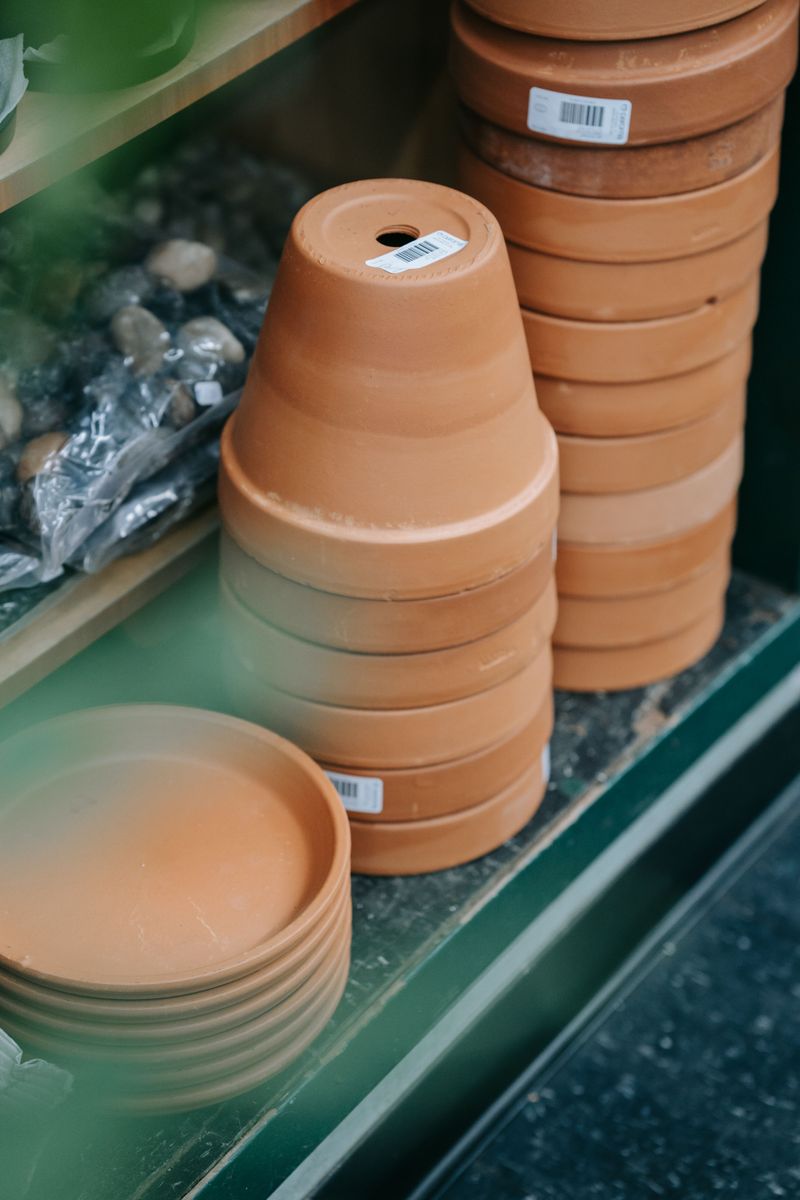 Choose A Pot At Least 12 Inches Deep With Drainage Holes Choose A Pot At Least 12 Inches Deep With Drainage Holes