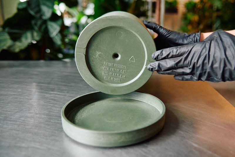 Choose A Pot With Drainage Holes