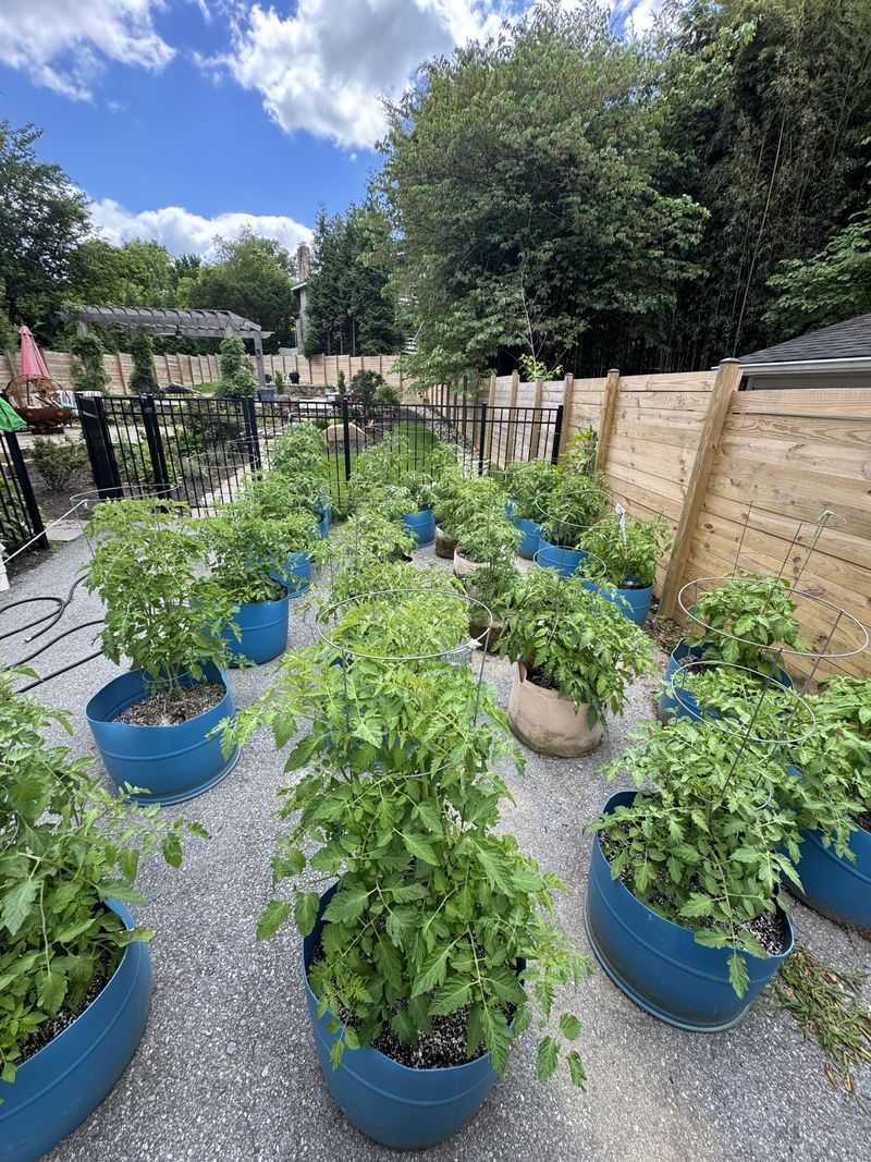 Choose Balanced Feeding Over Big Green Growth Choose Balanced Feeding Over Big Green Growth