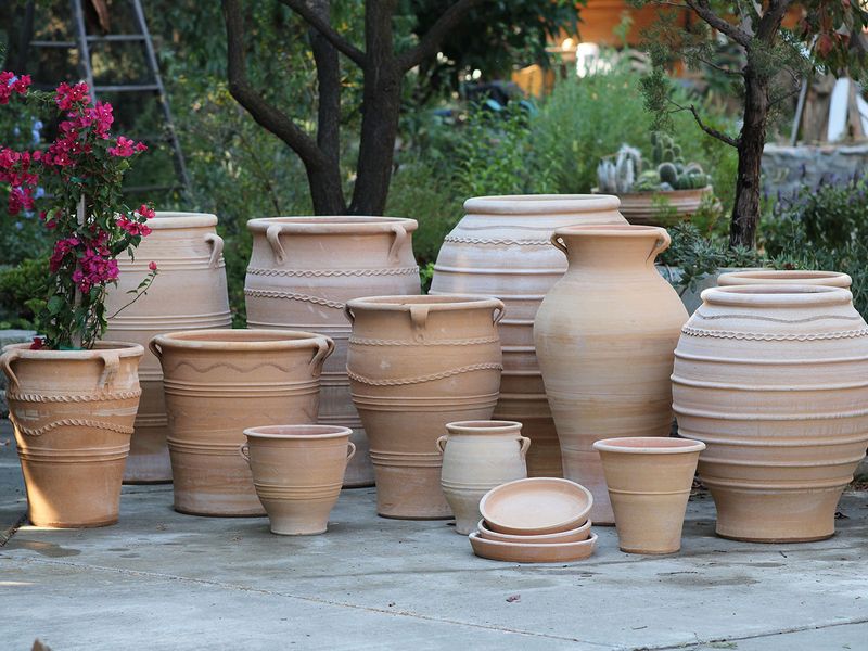 Choose Bigger Terracotta Pots Choose Bigger Terracotta Pots