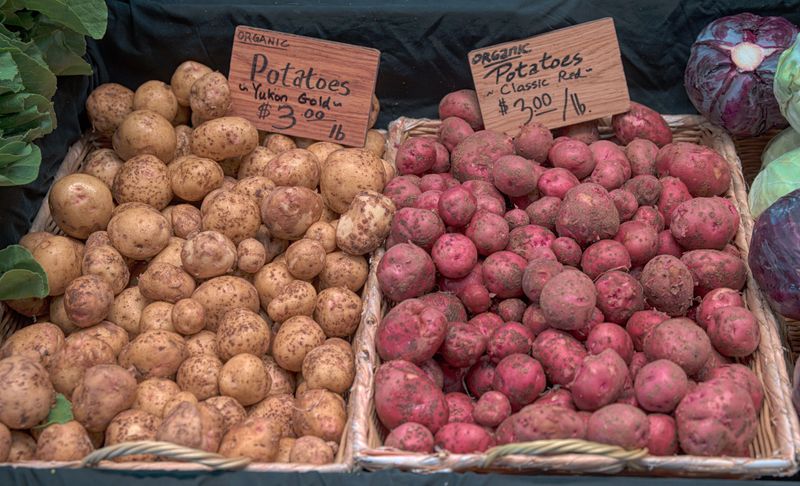Choose Certified Seed Potatoes Suited For Maryland's Climate