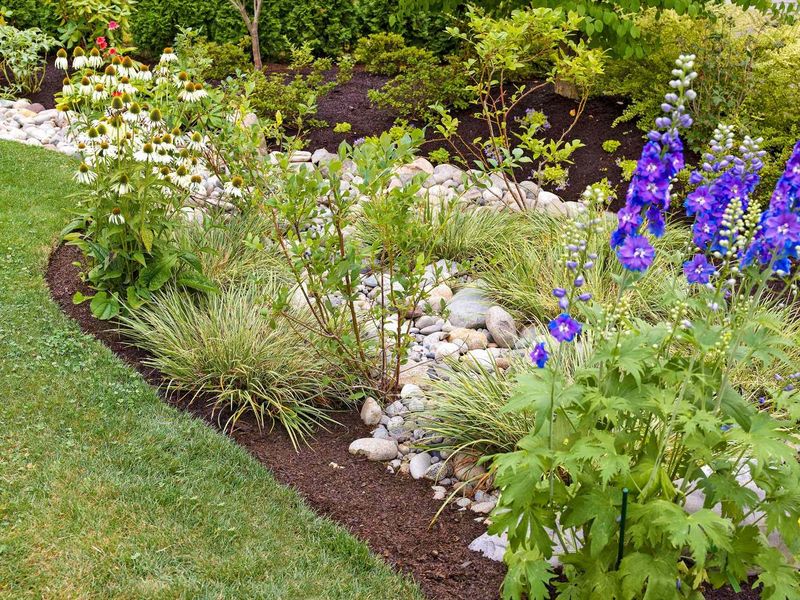 Choose Drainage Before You Amend The Soil Choose Drainage Before You Amend The Soil