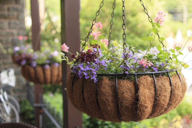 Choose Larger Baskets When Possible Choose Larger Baskets When Possible