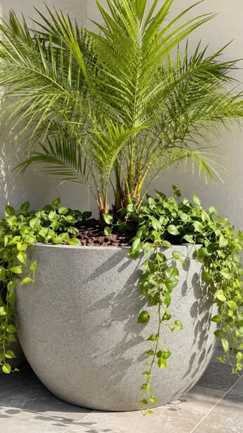 Choose Larger Containers That Hold Moisture Longer Choose Larger Containers That Hold Moisture Longer