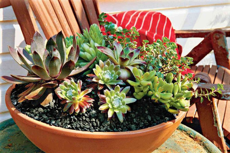 Choose Larger Containers That Hold Moisture Longer Choose Larger Containers That Hold Moisture Longer