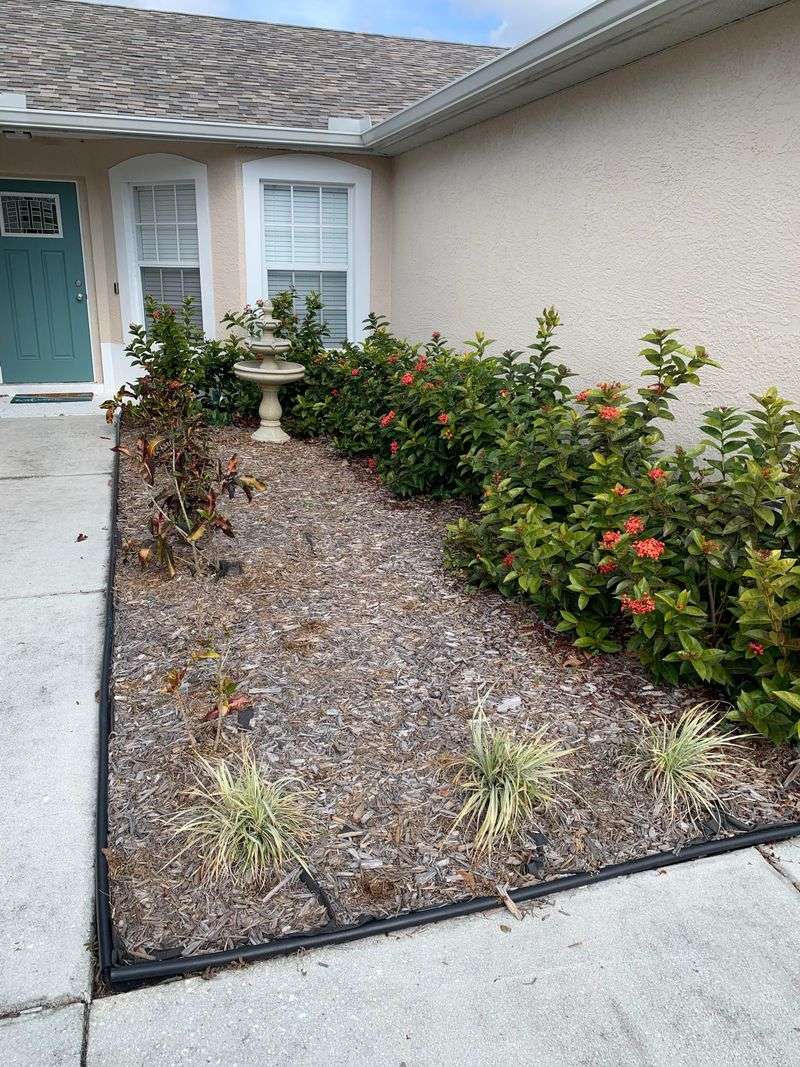 Choose Low Plants That Do Not Trap Moisture Choose Low Plants That Do Not Trap Moisture