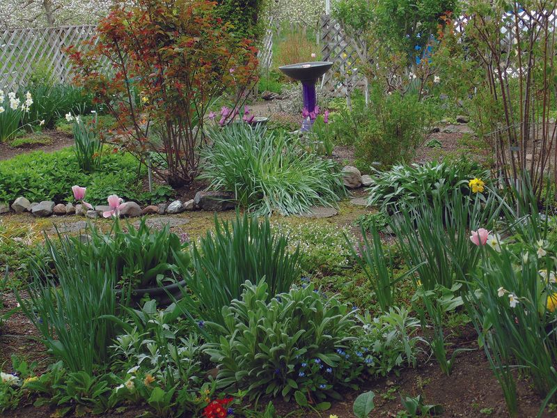 Choose Native Plants That Fit The Site