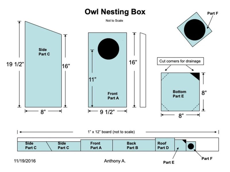 Choose One Box Design and Place It Safely Choose One Box Design and Place It Safely